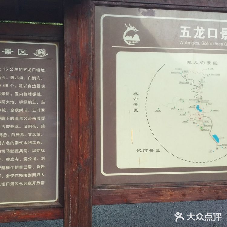 五龙口的猴子太可爱了