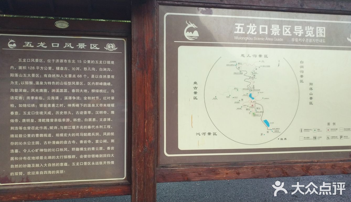 五龙口的猴子太可爱了