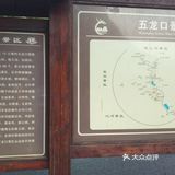 五龙口的猴子太可爱了