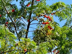 -东天目山风景区
