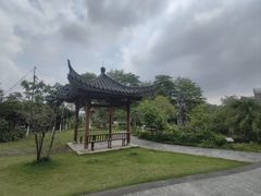 -广州神农草堂中医药博物馆