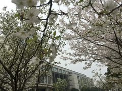 -江南大学(蠡湖校区)