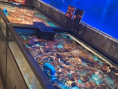 -忆江南·临江鱼馆