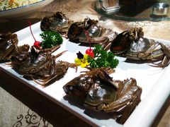 -金海湾海鲜总店