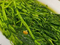 -长平老姿娘夜粥(平东一街店)
