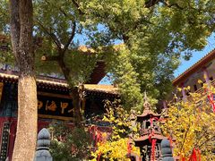 -宝通禅寺