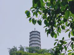 -深圳国际园林花卉博览园