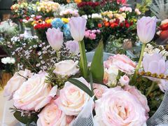 -T11生鲜超市(朝阳公园店)