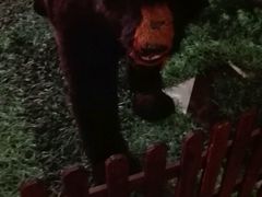 -唯尚主题式KTV(红谷滩店)