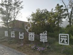 -紫云台香草园