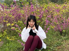 -杏花村文化旅游区
