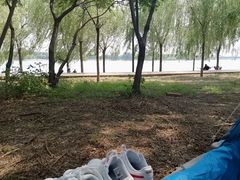 -长白岛森林公园