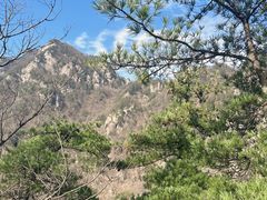 -王顺山国家森林公园