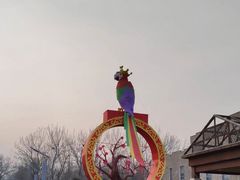 -南宫五洲植物乐园