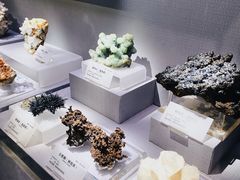 -湖南省地质博物馆