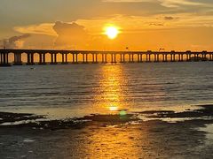 -宝安西湾红树林湿地公园