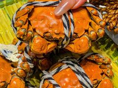 -蟹天蟹地农家菜·阳澄湖大闸蟹(浅水湾店)