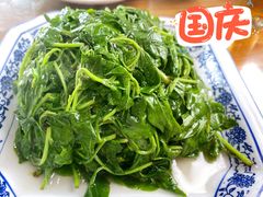 枸杞藤-洞天食府(北大街店)