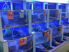 -七欣天香辣蟹火锅(上海银亿滨江店)