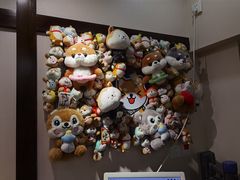 -逗柴咖啡屋·狗咖猫咖宠物桌游