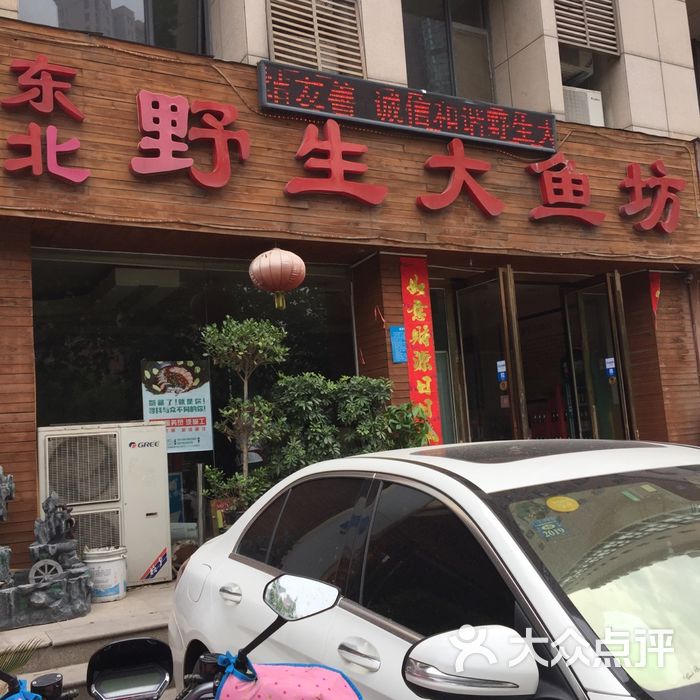 东北野生大鱼坊