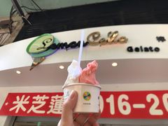 -柠檬车露(卖草地店)