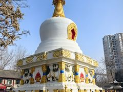 -护国法轮寺