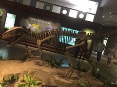 -自贡恐龙博物馆