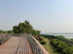 -江滩湿地公园