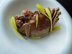 -蟹榭·本帮江浙菜·蟹宴(五角场合生汇商场店)