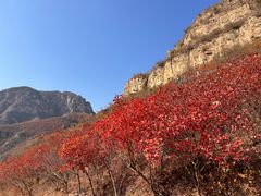 -狼牙山风景区