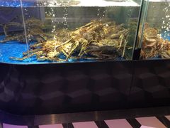 水产区-蟹之国·精品蟹料理(极地店)