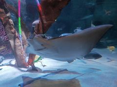 -沈阳海洋探索中心