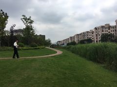 -新江湾城公园