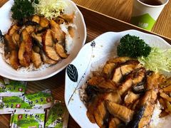 -美食小镇·观赏珍稀鸟类·长隆熊猫酒店