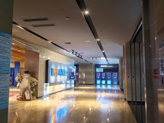 -博纳国际影城IMAX(中央大道店)