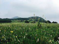 -白草畔自然风景区