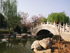 -西安青龙寺遗址景区