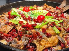 -老板恋上鱼(高新万达店)