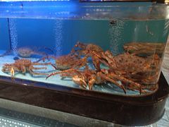 -阿伟海鲜楼·福建菜(延寿店)