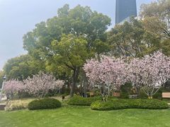 -北外滩滨江绿地