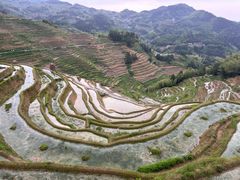 -紫鹊界梯田景区