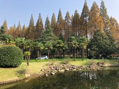 -上海怡沁园度假酒店