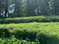 -长春市南湖公园