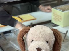 -安德鲁饼店(总店)