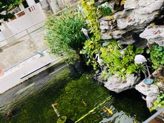 -洞背山庄(洞背院区式管理小区店)