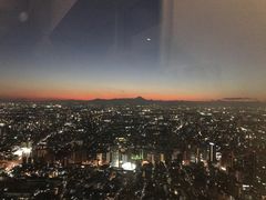 -东京都厅舍