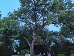 -乌山风景区