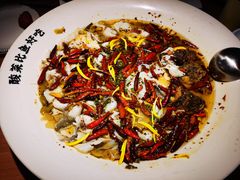 -太二酸菜鱼(沈阳万象城店)