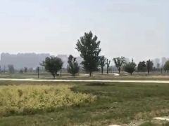 -汉长安城未央宫国家考古遗址公园